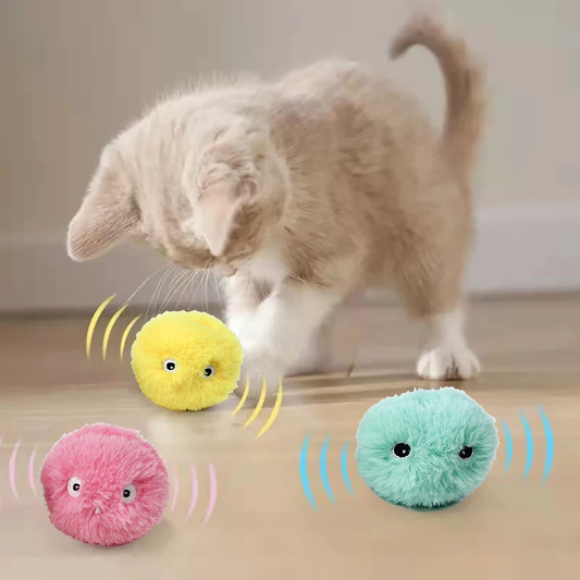 Electronic Catnip Ball