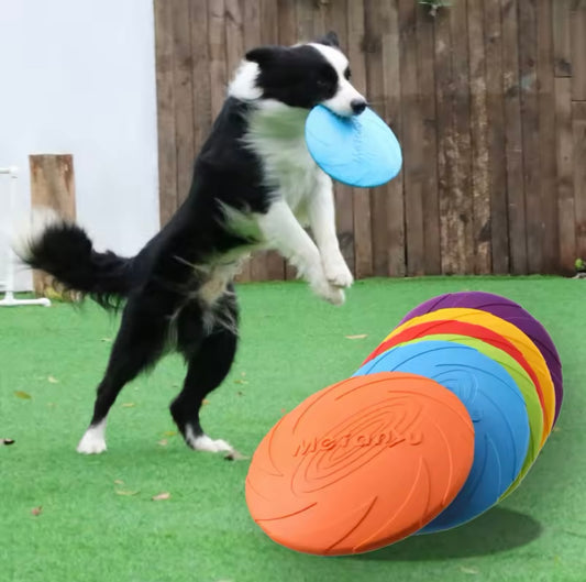 Durable Flying Disc – The Ultimate Bite-Resistant Toy