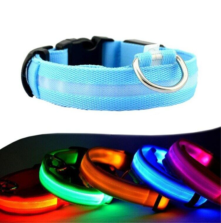 LED Glow Dog Collar